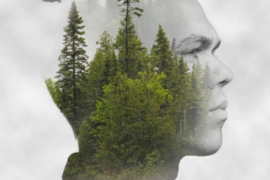 Двойная экспозиция