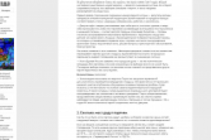 Статья о выборах в городскую думу Перми (портал "Звезда"), ч. 2