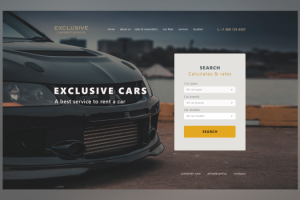 Exclusive cars