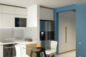 Кухня-гостиная