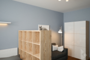 Спальная-гостиная