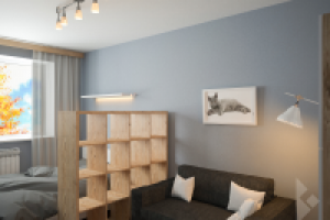 Спальная-гостиная