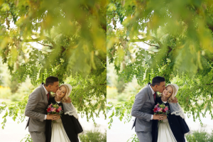 Работа 3635148