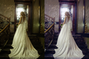 Работа 3635146