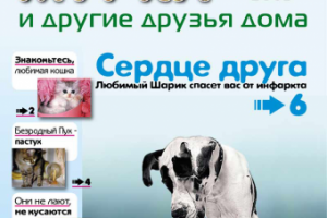 Обложка приложения Для Вас