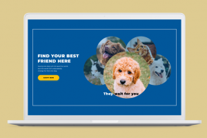 Дизайн главного экрана для приюта