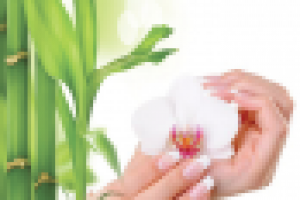 Работа 2230721