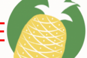 Работа 4019454