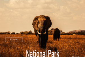 баннер национального парка