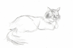 Зарисовка "Кошка"