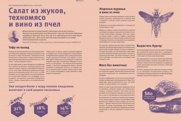 img4017484.png