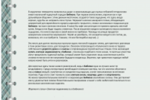 Элитная недвижимость в Бибионе