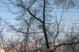 нормирование выбросов ЗВ в атмосферу