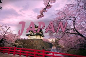 Travel Video