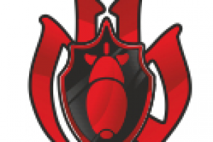 Эмблема для игры