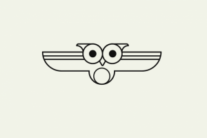 Работа 3700578