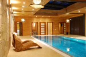 Бассейн (2008)