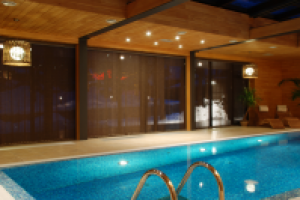 Бассейн (2008)