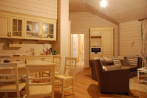 Дом в лесу (2008)