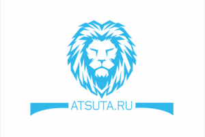 Работа 3511779