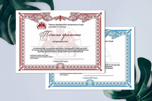 Сертификат для областного театра