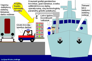 Bananas Loading to Reefer