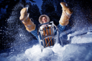 Зимний соловей