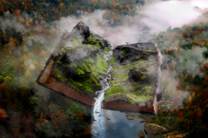 Работа 3995599