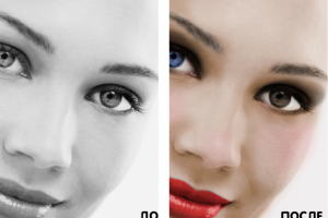 Работа 3995644