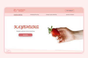 Landing page для компании по продаже клубники