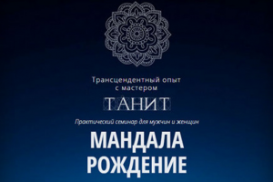 Работа 3343196