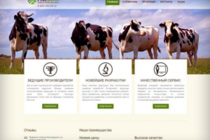 Работа 3344356