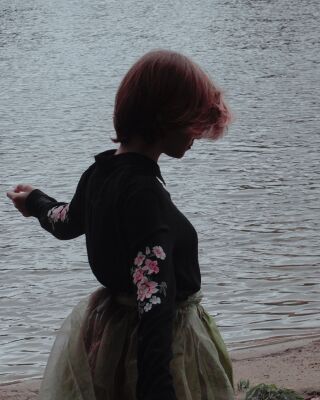 img3998228.png