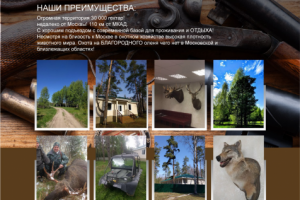 Дизайн простенького сайта для охоты