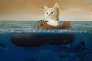 Вперед за приключениями.