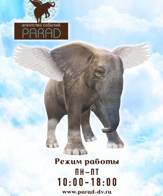 img3228334.png