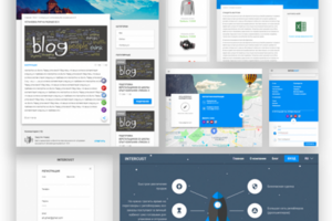 Проект "Intercust"