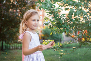 Работа 3689083