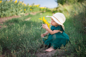 Работа 3689024