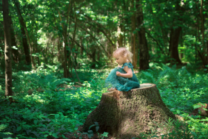 Работа 3689016