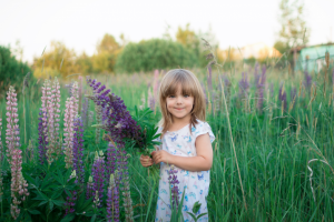 Работа 3689012