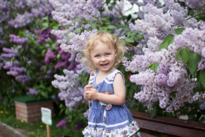 Работа 3689011