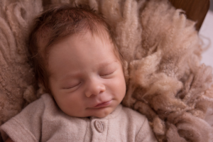 Работа 3689125