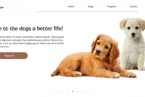 сайт для собачек