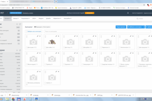 Advantshop: Наполнение ИМ зоотоваров