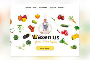 Интернет-магазин полезной пищи Wasenius