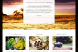 Блог об Африке