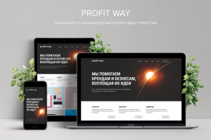 Profit Way - Компания по разработке маркетинговых стратегий