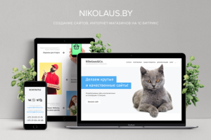 Nikolaus - Создание сайтов на 1С-Битрикс