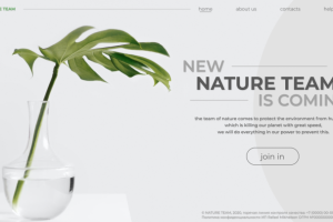 Дизайн главного экрана сайта компании по защите природы